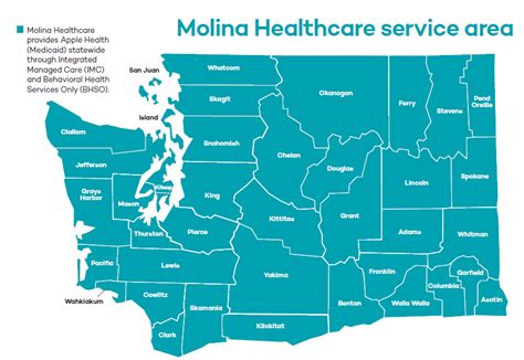 molina healthcare wa|molina wa provider search.